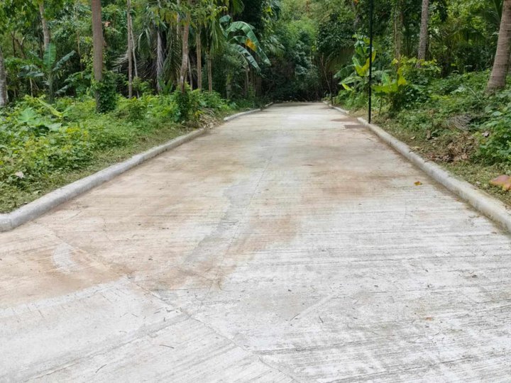 Lot for sale in Brgy Kaytitinga  located in Alfonso Cavite 2 lots only