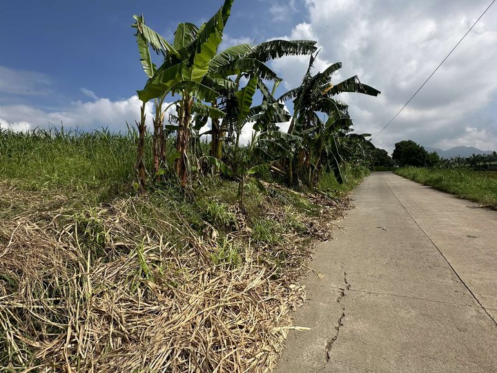 Raw Land located along the provincial road