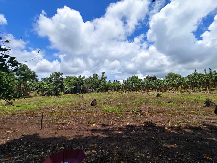 500 sqm TITLED Residential Farm For Sale in Indang Cavite