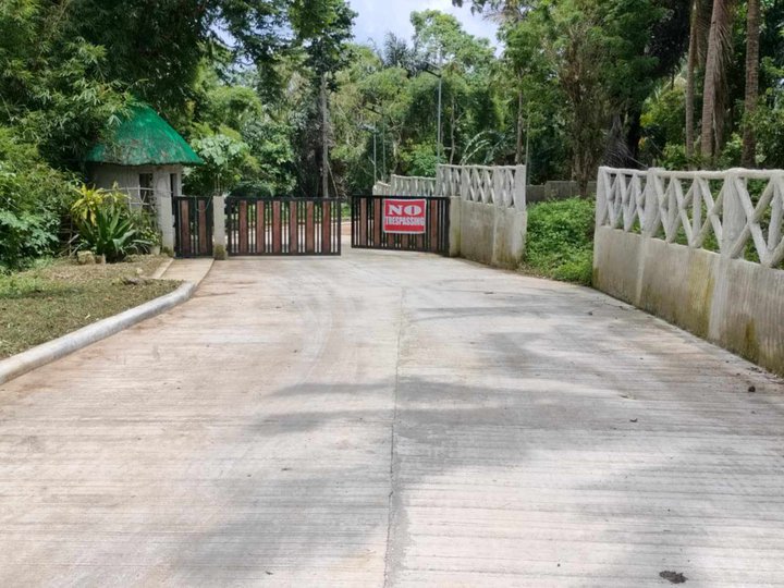 Farm lot for sale near the Brgy. road