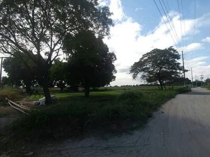 FOR SALE MAIN ROAD LOT IDEAL FOR RESIDENTIAL, WAREHOUSE AND FACTORY IN PAMPANGA