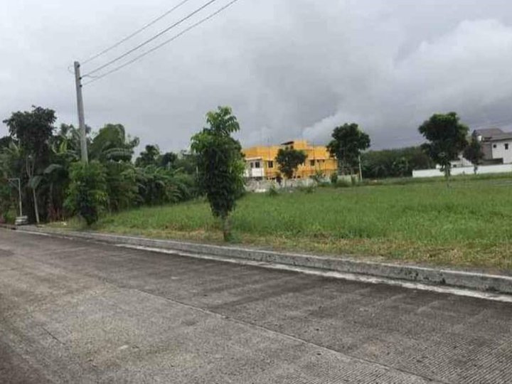 150sqm Residential Lot for Sale in Centro Verde, Pavia, Iloilo