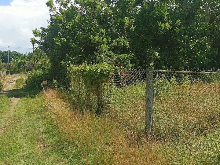 Residential Lot at Bacnotan, La Union