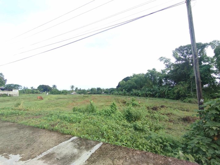 Residential Lot For Sale along National Road in Patnongon Antique