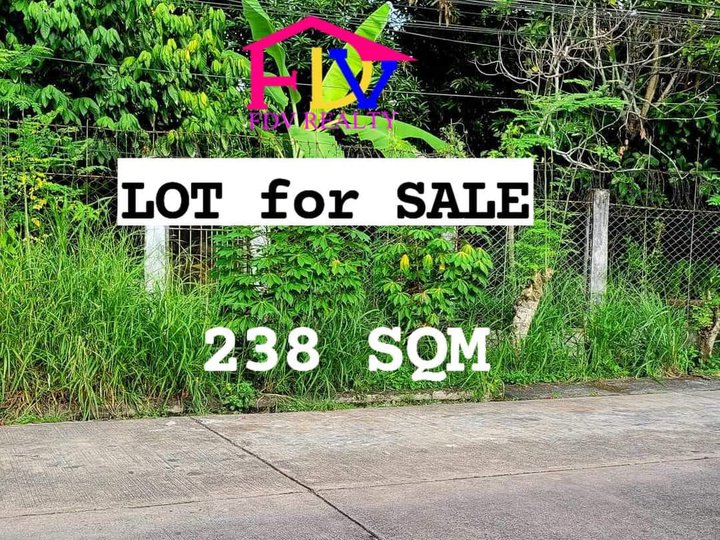 238 sqm Residential Lot For Sale in Villa Grande Naga Camarines Sur