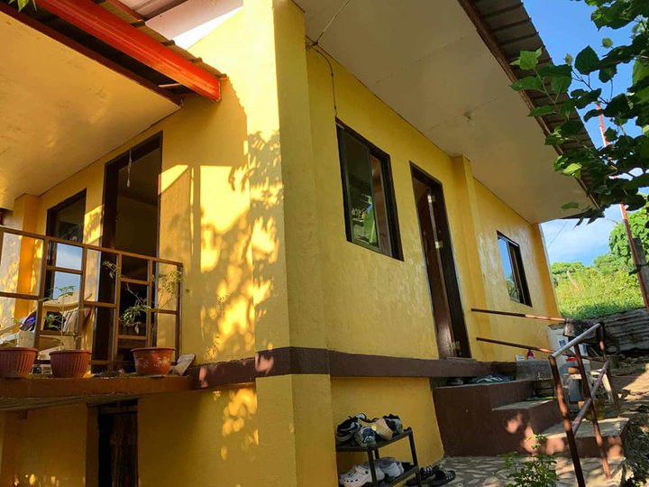 2-bedroom Single Detached House For Sale in Dauis Bohol