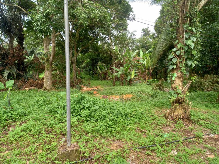 250 sqm Residential Farm For Sale in Mendez (Mendez-Nunez) Cavite