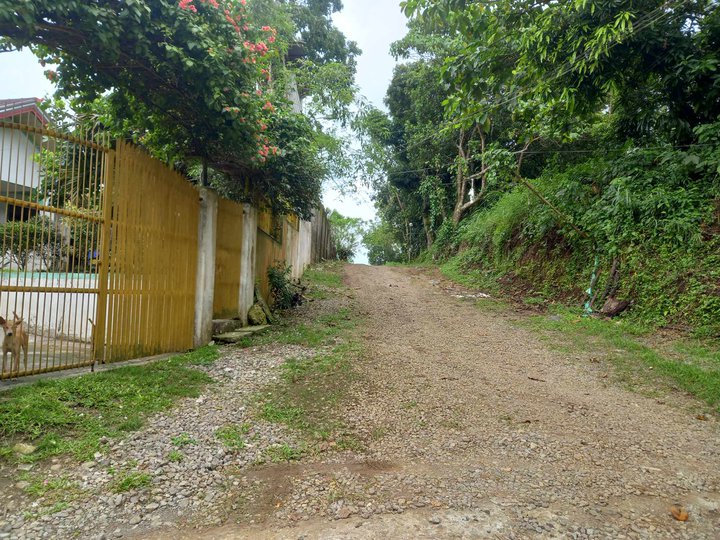 250sqm Residential Farm Lot for sale in Mendez near Tagaytay