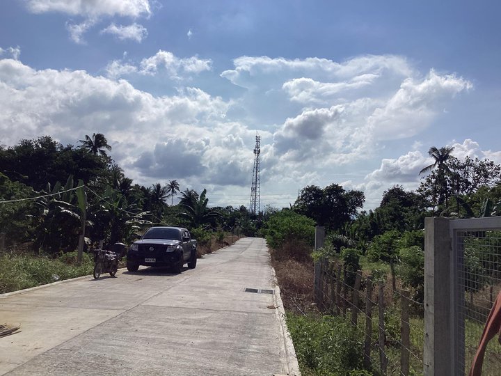 200sqm Installment Farm Lot for sale in Amadeo near Tagaytay