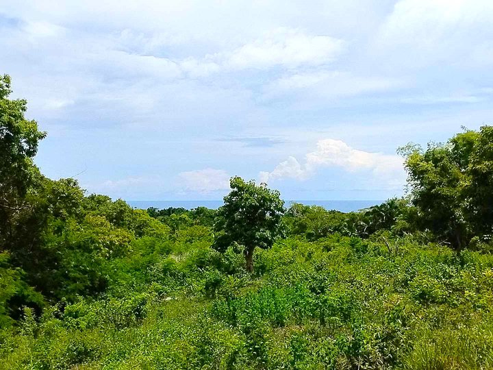 5011 sqm Lot in Tayong Loay, Bohol