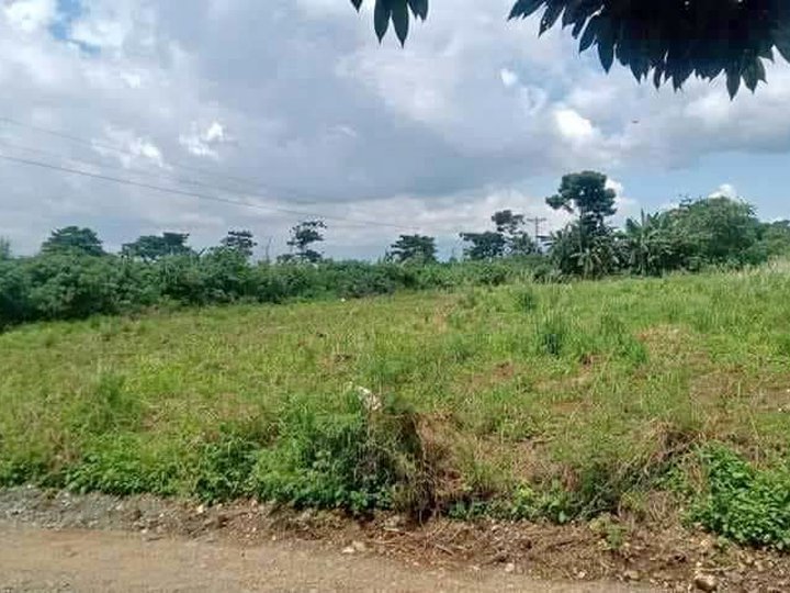 1.4 hectares Agro-Industrial Farm For Sale in Manolo Fortich Bukidnon