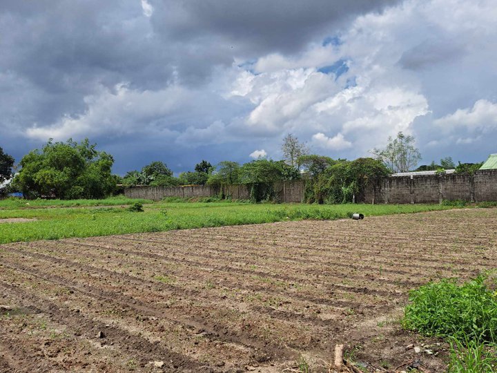 5,060SQM LOT FOR SALE LOCATED IN PORAC, PAMPANGA