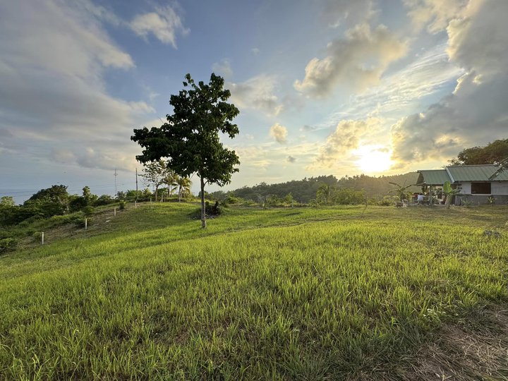 Residential Lot in Bohol Overlooking the Sea