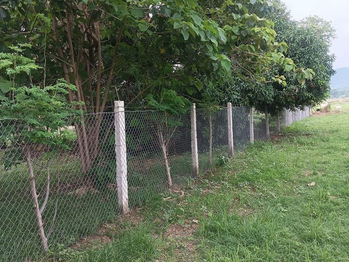 Residential Lot, Along the road at Bacnotan, La Union