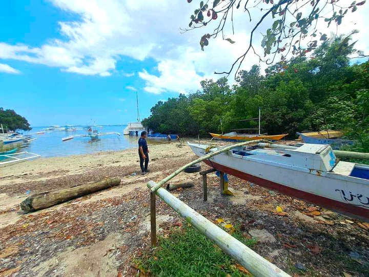 Beachfront lot in Panglao white sand facing Virgin Island