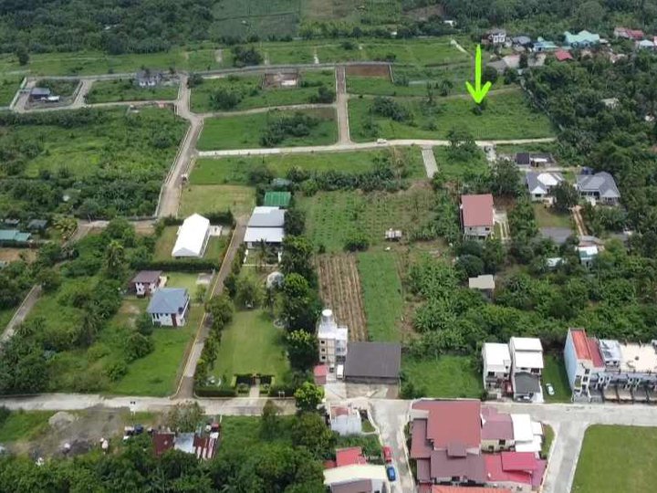 120 sqm Residential Lot For Sale in Amadeo Cavite