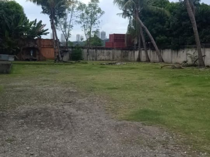 LOT FOR SALE WITH BUILDING AND WAREHOUSE IN MANDAUE