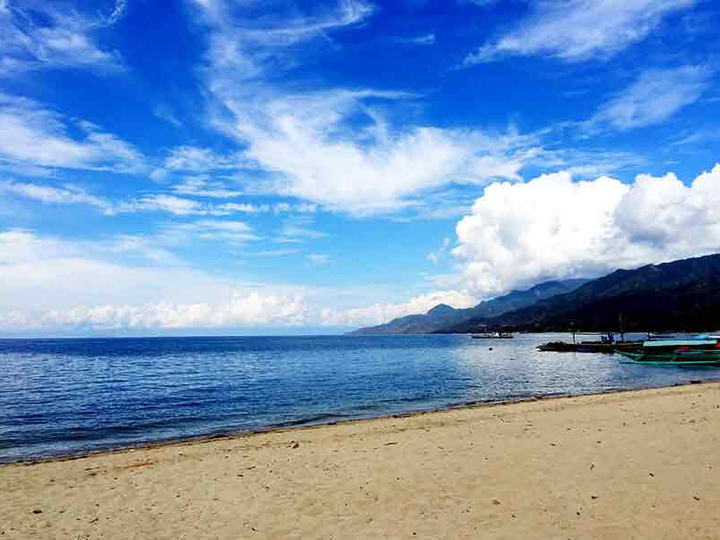 Landco Pacific Corporation - 386 sqm Beach Property For Sale in Playa Laiya, San Juan Batangas