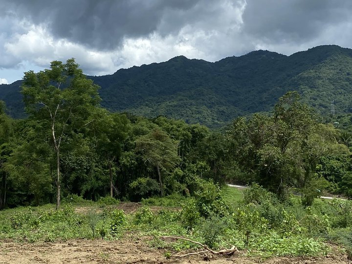 100 sqm Residential Farm For Sale in Batangas City