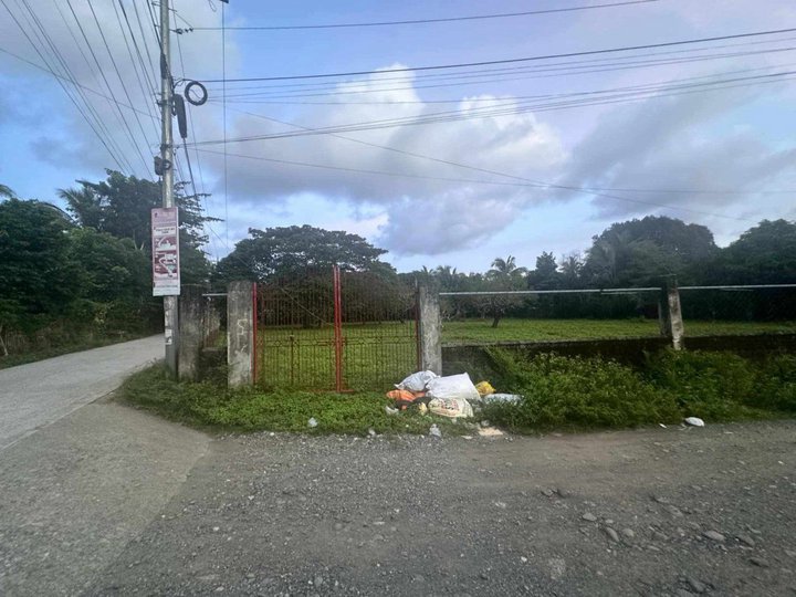 Residential Lot For Sale Near Airport in San Jose De Buenavista Antique