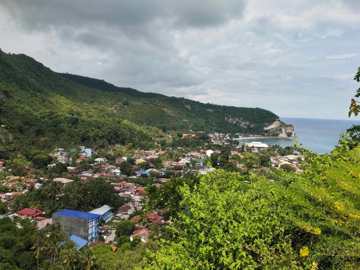 PANORAMIC LOT FOR SALE in Boljoon, Cebu! - Ideal for MOUNTAIN RESORT