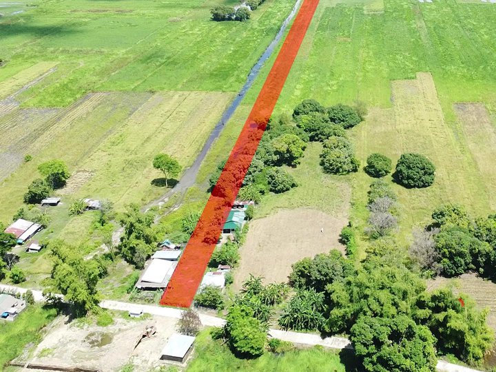 Agricultural Farm Land for sale in Palma, Basista, Pangasinan