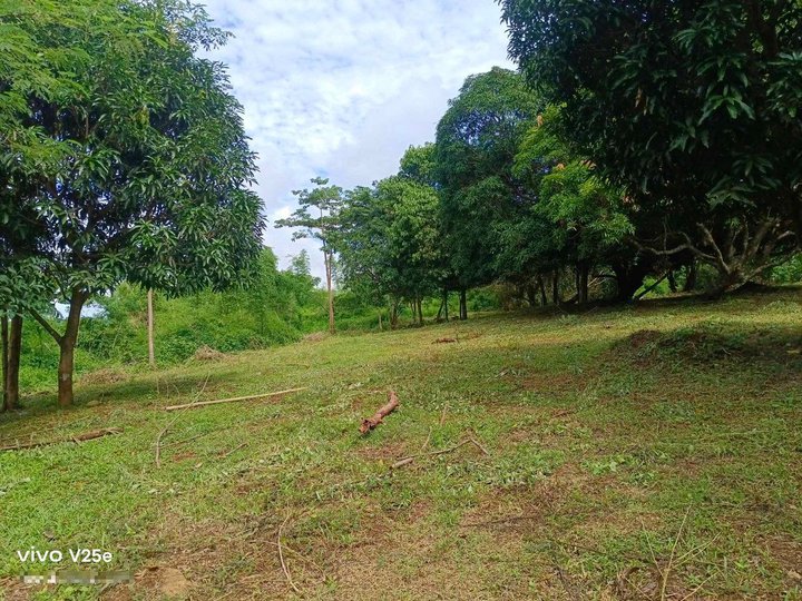 LA BEEZA PILILLA RIZAL- FARM LOT