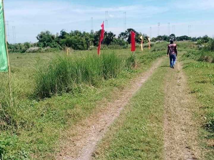 100 sqm Subdivided Lots For Sale in Sto.Nino, Concepcion Tarlac