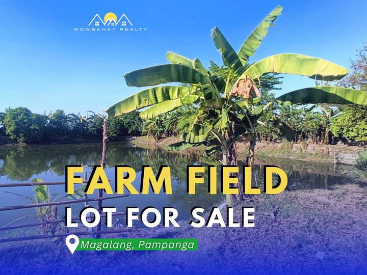 13, 247 SQM Residential Farm For Sale in Magalang Pampanga