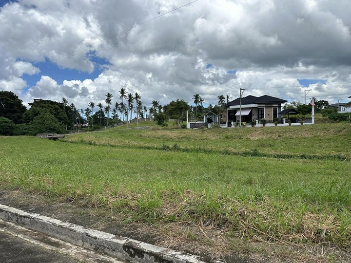 201 sqm Residential Lot For Sale in Summit Point Lipa Batangas