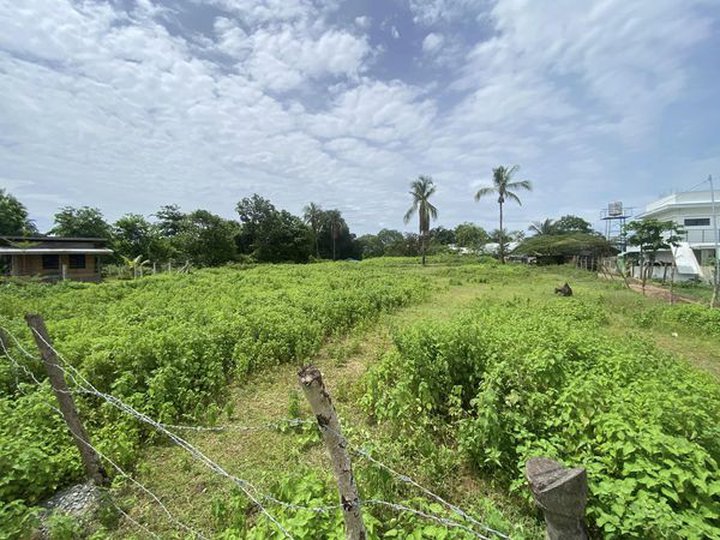 3,364 sqm Commercial Residential Lot For Sale in Opol Misamis Oriental