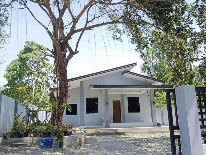Bungalow with 2 bedrooms in Catagman, Samal Island, Philippines listed at ₱5,500,000
