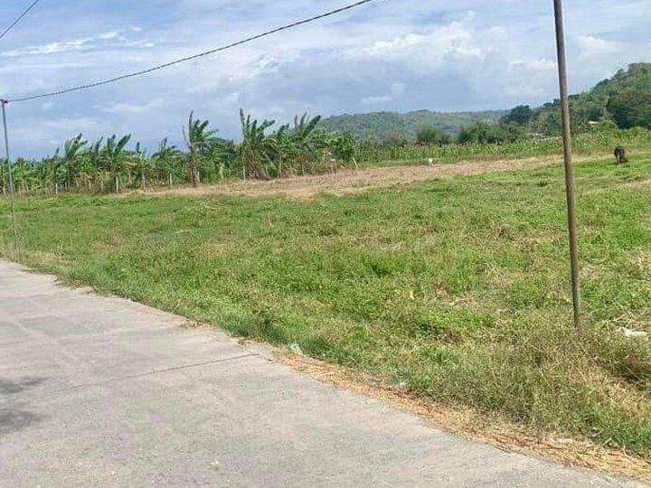 Luna, La Union Farm Lot - 200 per SQM