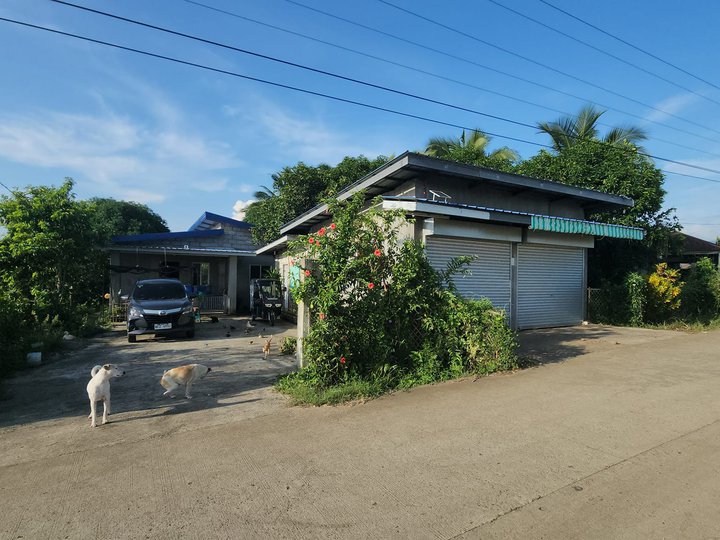 House with Big Lot for Sale in Samal Bataan