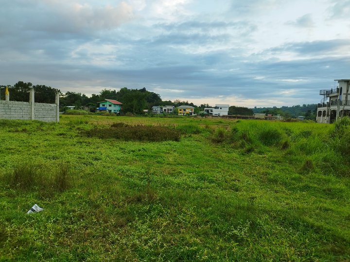 Titled Residential Lot for Sale in Bacnotan, La Union