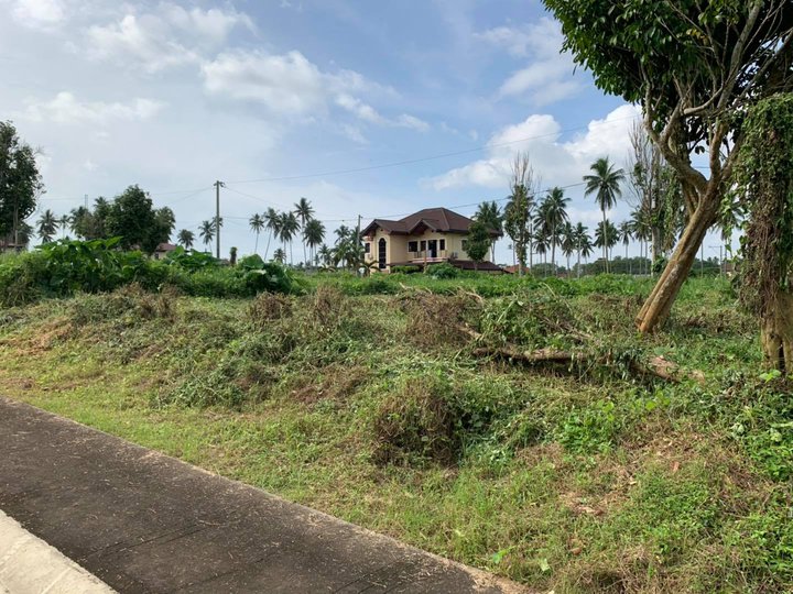 High-End Residential Property (Lot) For Sale in San Pablo, Laguna