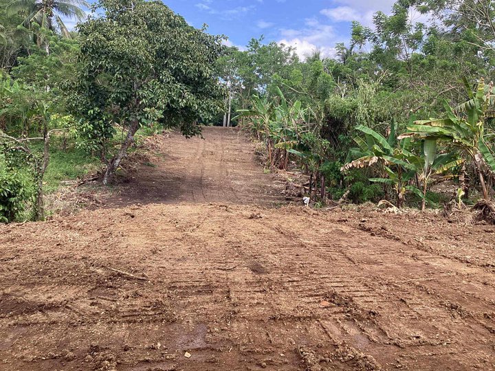 Residential Farm Lot 300 sqm Near Crisanto Road Amadeo Cavite.