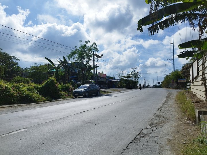 : Prime Commercial Lot Along Diversion Road, San Juan, La Union