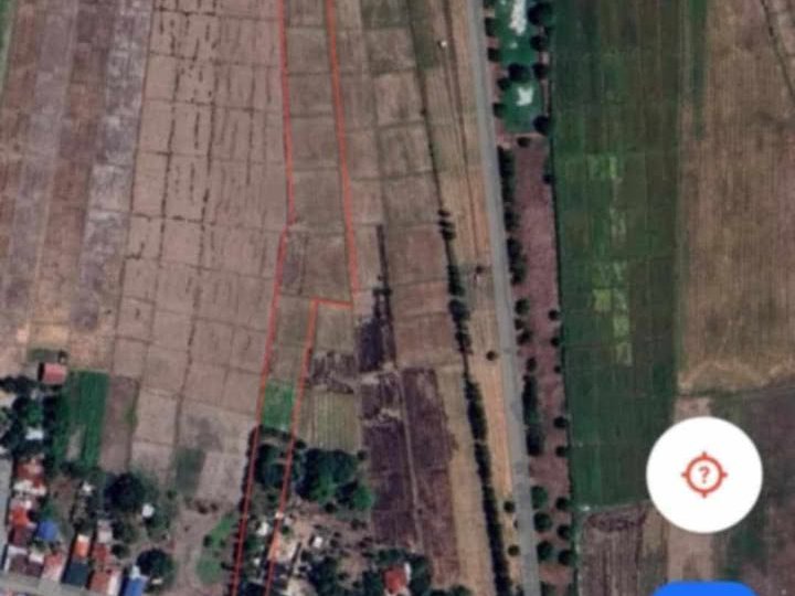 1.5 hectares Raw Land For Sale in Capas Tarlac (Ideal for Subdivision or Resort)