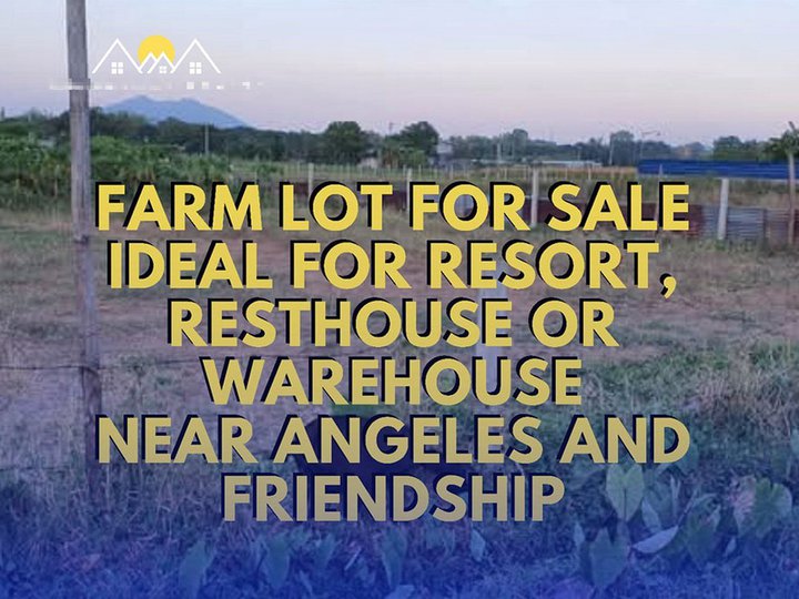 FARM LOT FOR SALE IDEAL FOR RESORT, RESTHOUSE OR WAREHOUSE