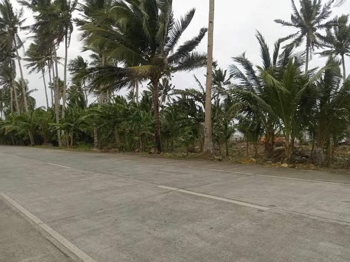 BEACH LOT FOR SALE 4.000 sqm in cabitoonan, general luna, siargao