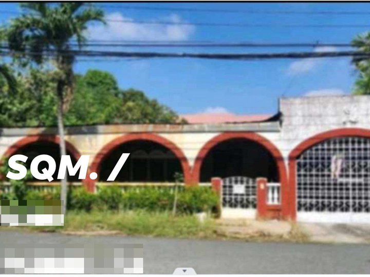 450 sqm Residential Lot For Sale in PhilAm Life Village Las Pinas