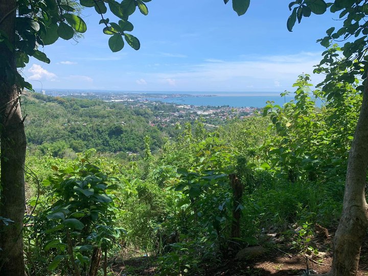 Big Lot For Sale Overlooking Bay & City in Malasag, Cagayan de Oro Misamis Oriental