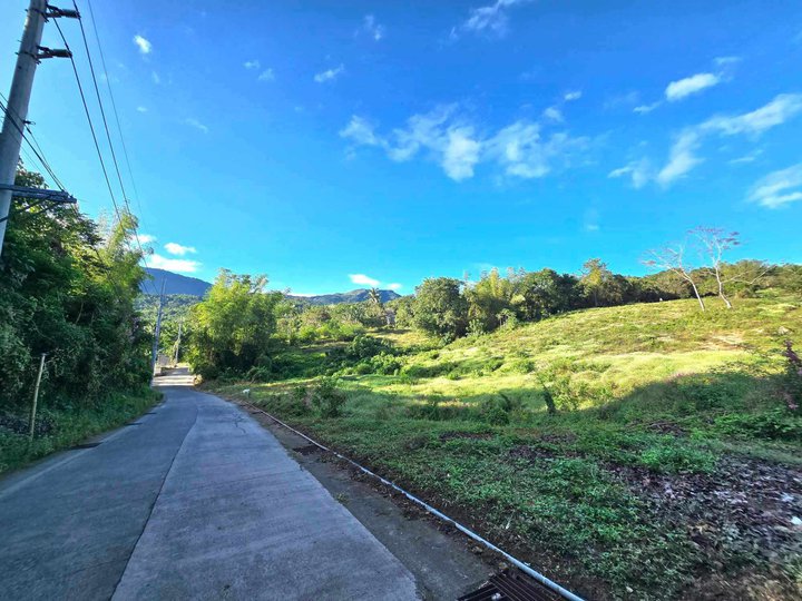 200 sqm Residential Farm For Sale in Batangas City - 0995-171-3756