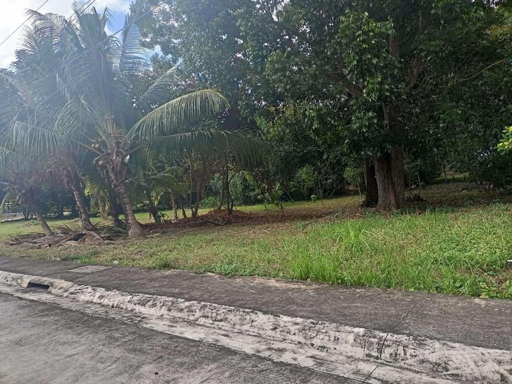 Avida Hacienda Sta. Monica farm lot for sale