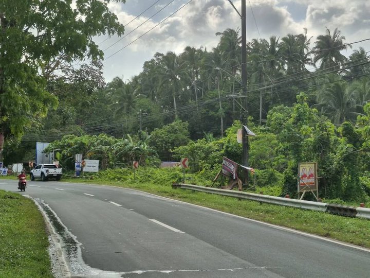 3,500sqm Commercial Lot Along Tayabas Mauban Road Brgy Palale Kanluran Tayabas