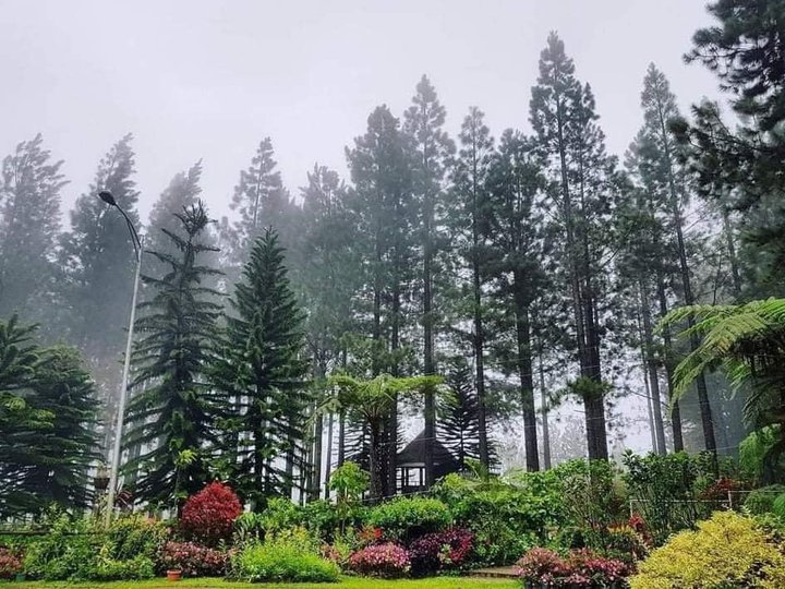 Dahilayan Residential Farm in Mountain Pines Farm, Manolo Fortich, Bukidnon
