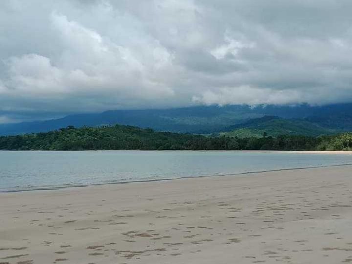 9,000 sqm Beach Property For Rent in Puerto Princesa Palawan