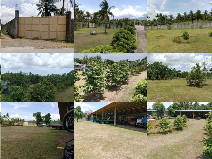 1 hectare, agro industrial farm for sale in Sariaya, Quezon