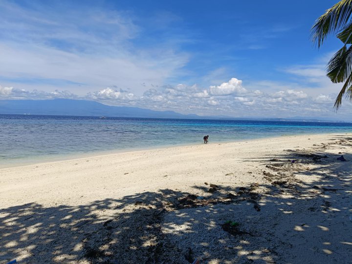Prime White Sand Beachfront for Sale | Talicud Island, Samal